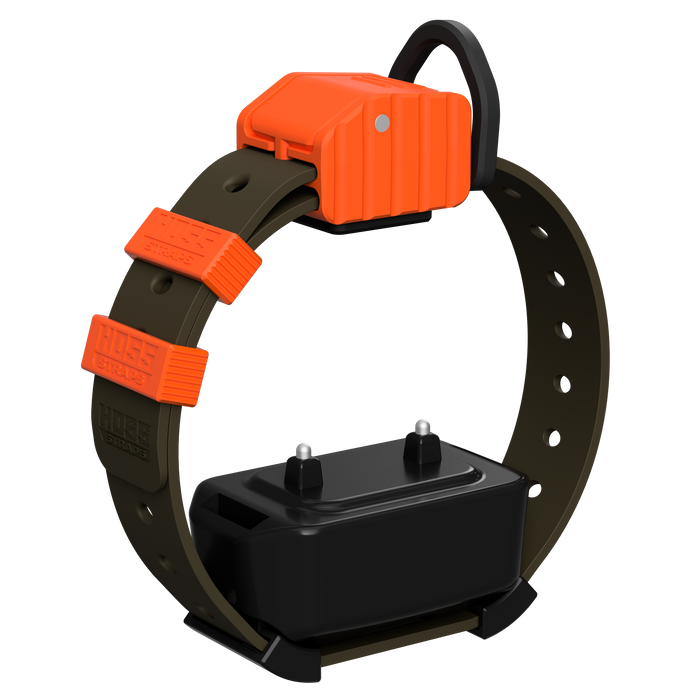 Pro Series Training Collar Setup