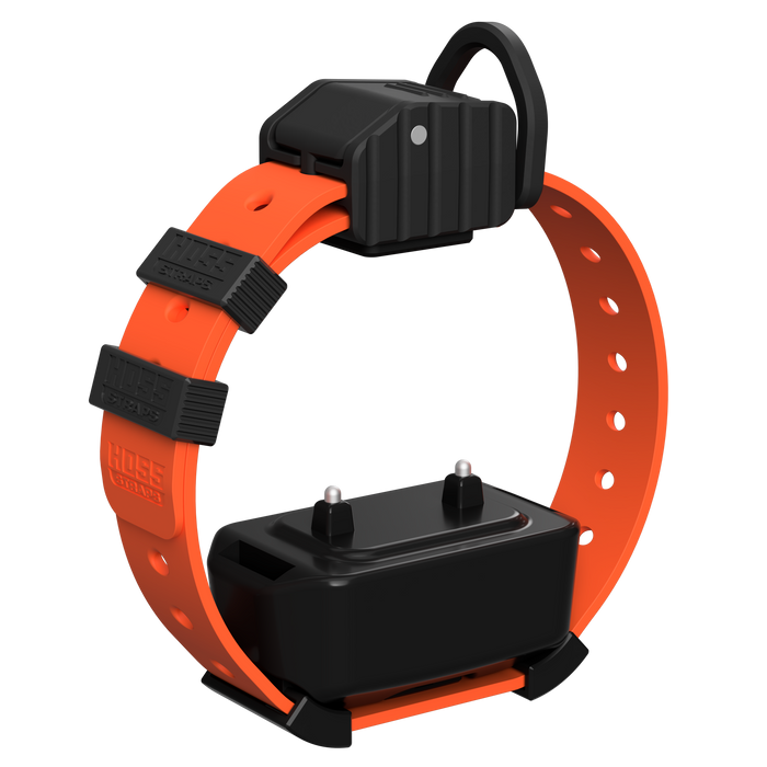Pro Series Training Collar Setup