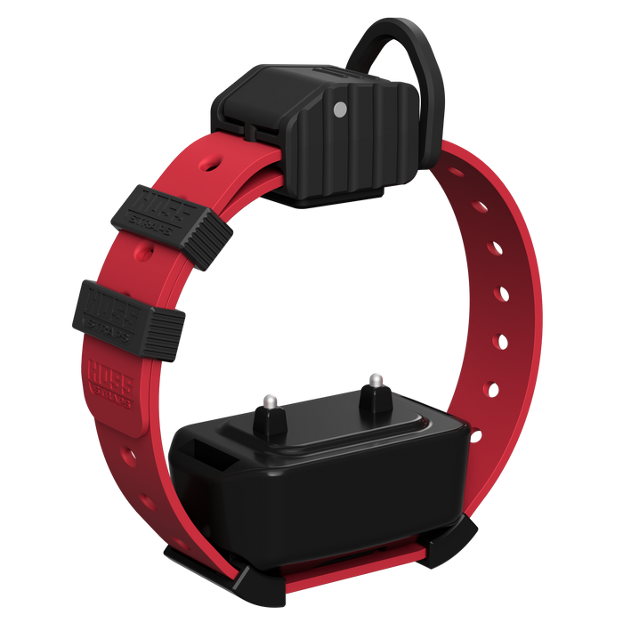Pro Series Training Collar Setup
