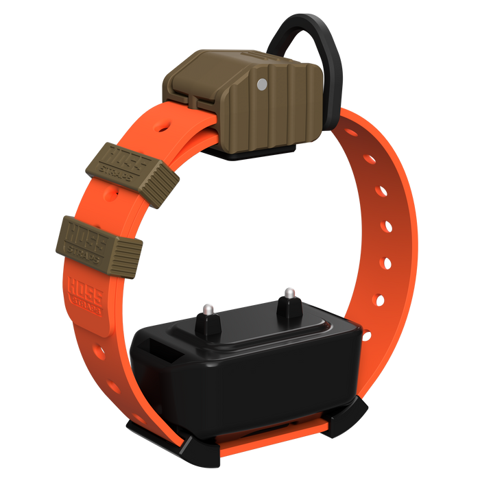 Pro Series Training Collar Setup