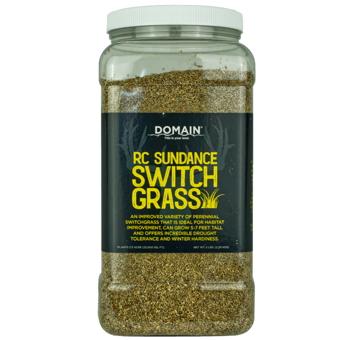 RC Sundance Switchgrass Habitat Seed