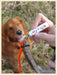 Dokken's Shed Dog Training DVD with Tom Dokken and Rack Wax Combo - Shed Dog Training