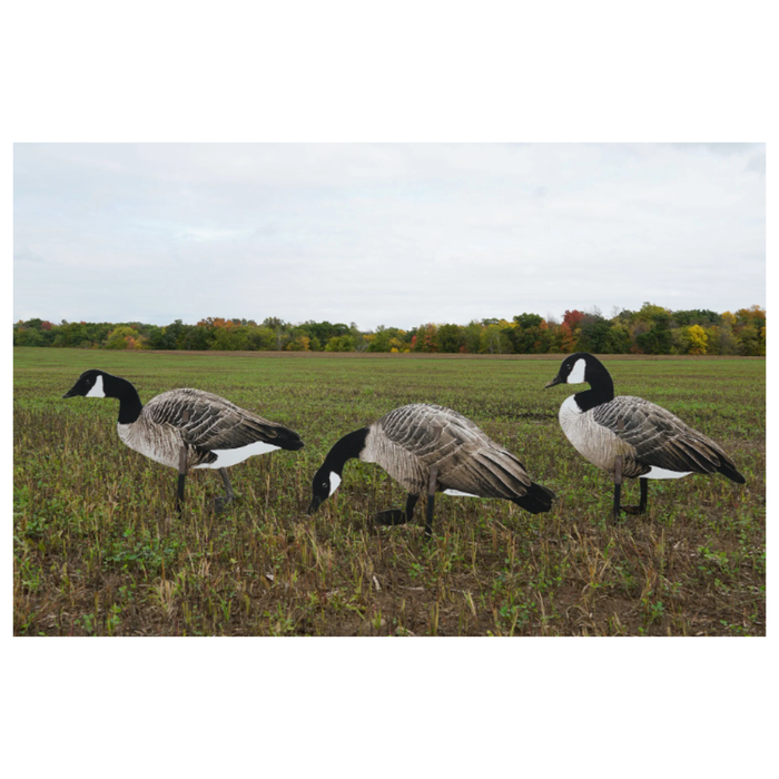 Real-Geese Pro Series II Silhouette Canada Goose Decoys – 1 Dozen