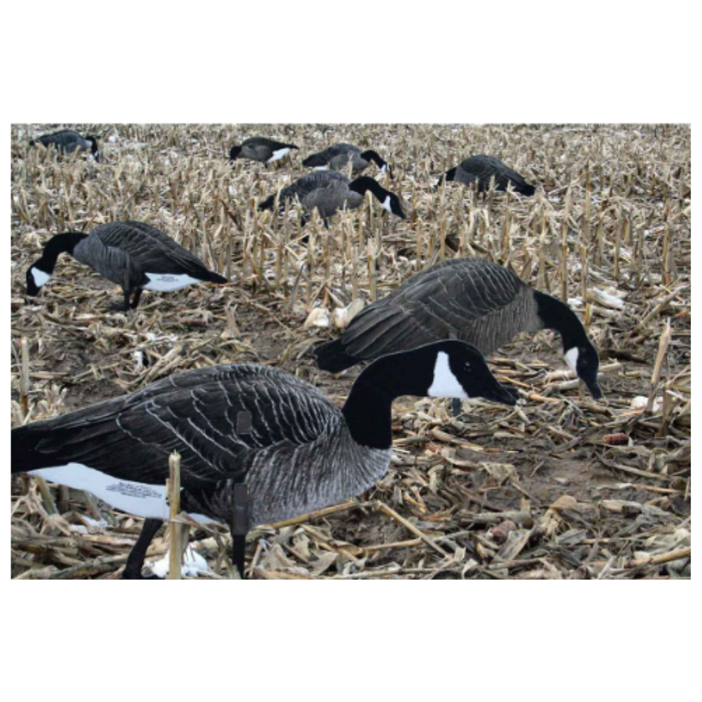 Real-Geese Pro Series II Silhouette Canada Goose Decoys – 1 Dozen ...