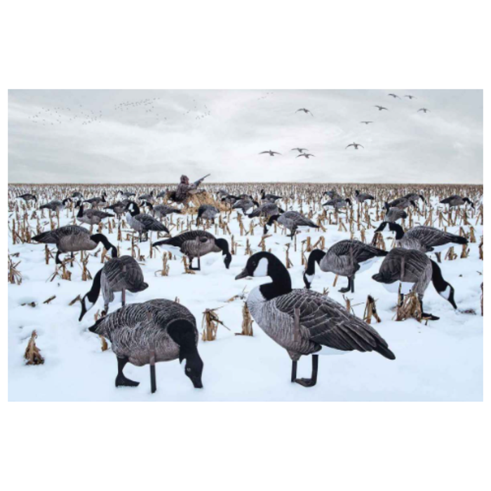 Real-Geese Pro Series II Silhouette Canada Goose Decoys – 1 Dozen