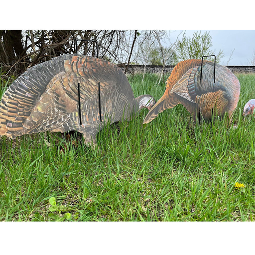 Real Gees Econo Turkey decoys