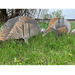 Real Gees Econo Turkey decoys