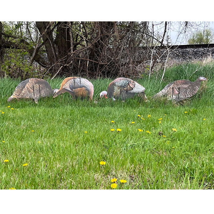 Real geese 4 pack of Econo silhouette turkey decoys