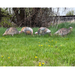 Real geese 4 pack of Econo silhouette turkey decoys