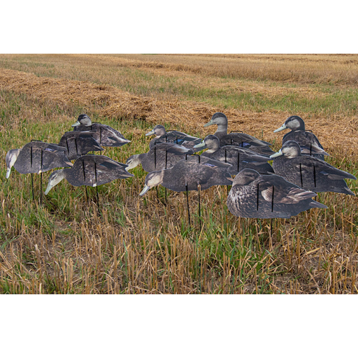 real geese pro series II econo black duck decoys in a field