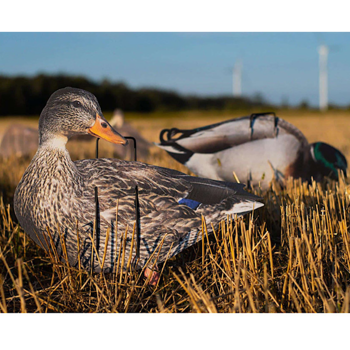 Pro Lite Econo series duck decoys from real geese mallard