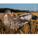 Pro Lite Econo series duck decoys from real geese mallard