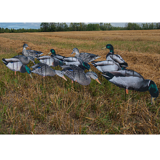 real geese econo Pro Lite II duck decoys