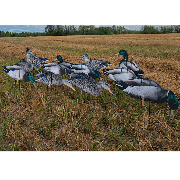 real geese econo Pro Lite II duck decoys