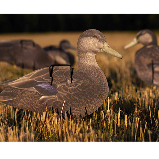 black duck real geese silhouette decoys