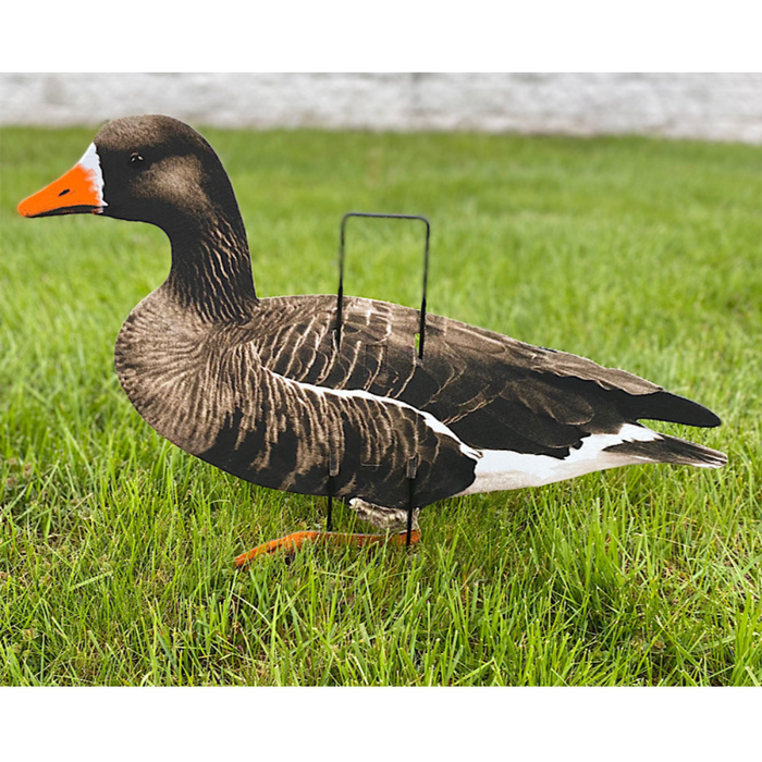 Real geese specklebelly geese decoys 