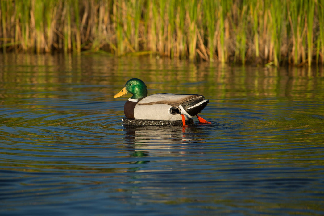 The Wadder - Air Boss Motion Decoys