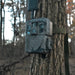 Spartan GoLive 3 trail camera mounted on tree with mounting strap. Easy installation 