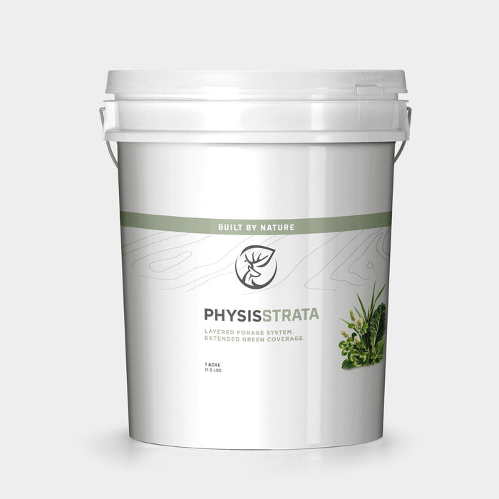Physis - STRATA