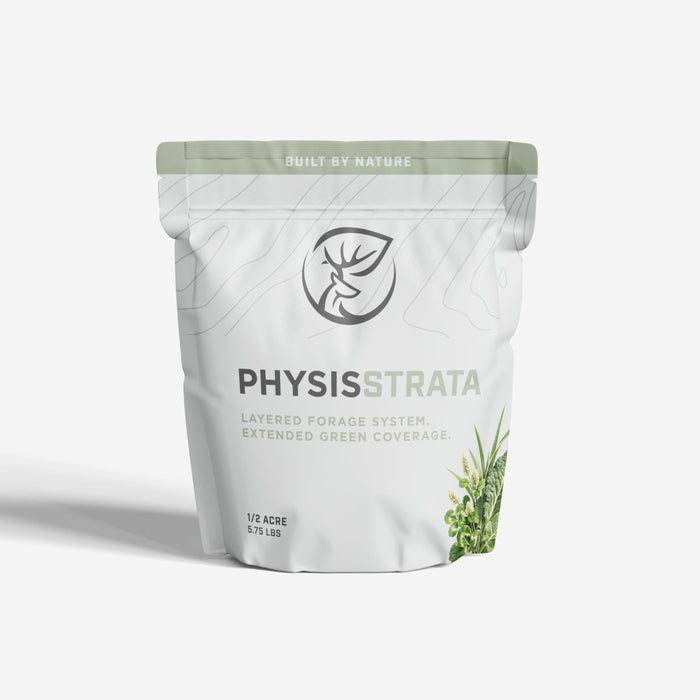 Physis - STRATA