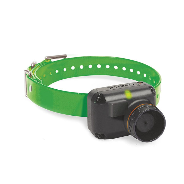 Dogtra Extra Collar for Beeper