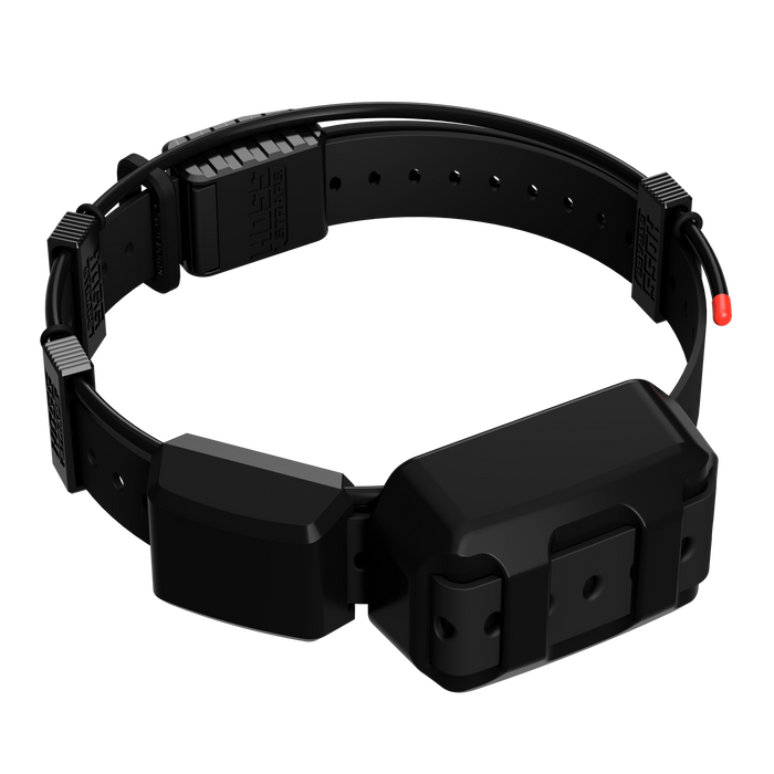Tracking Collar 1" Replacement Strap Kit