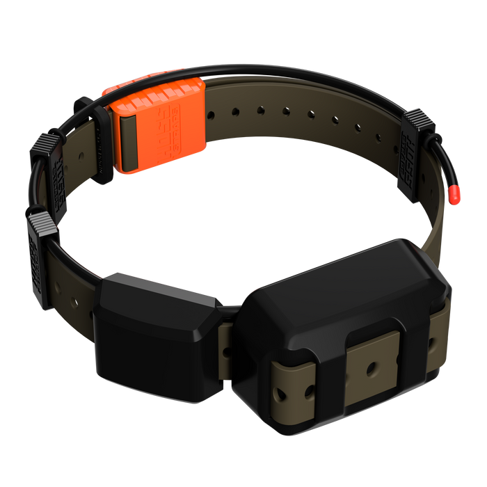 Tracking Collar 1" Replacement Strap Kit