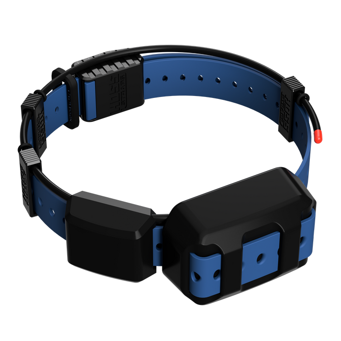 Tracking Collar 1" Replacement Strap Kit
