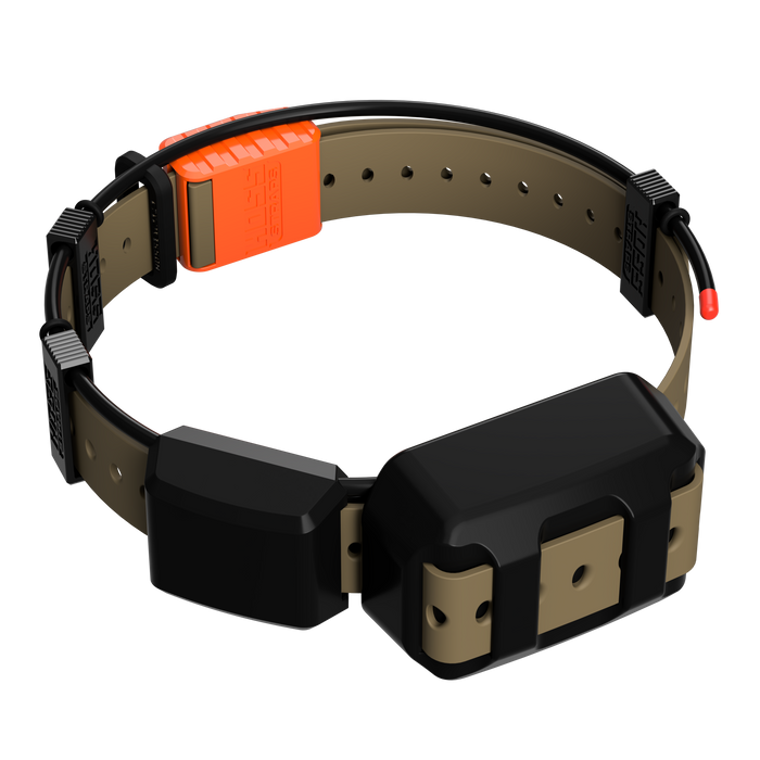 Tracking Collar 1" Replacement Strap Kit