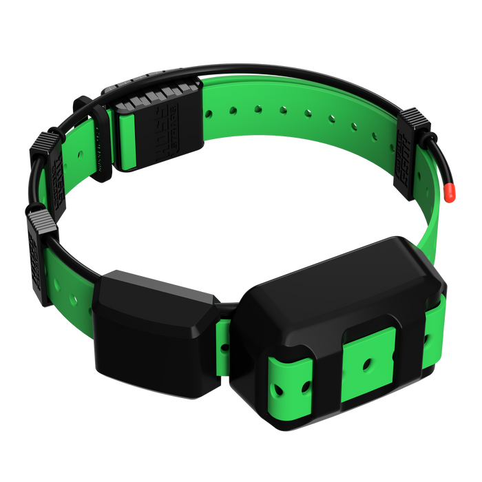 Tracking Collar 1" Replacement Strap Kit