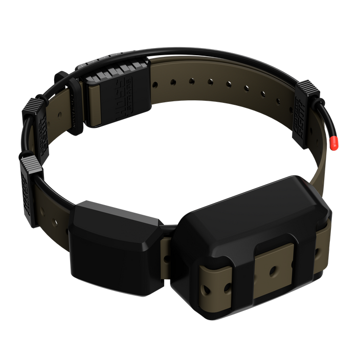 Tracking Collar 1" Replacement Strap Kit