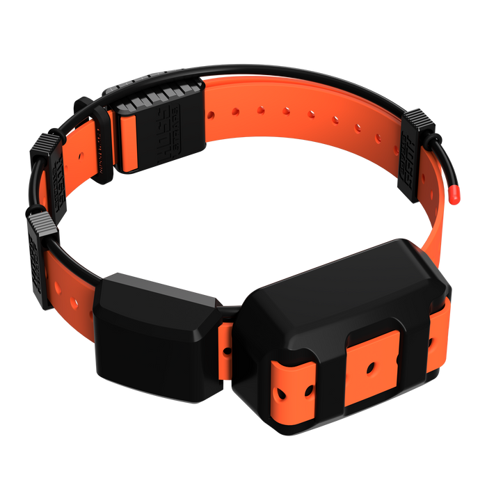 Tracking Collar 1" Replacement Strap Kit
