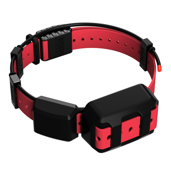 Tracking Collar 1" Replacement Strap Kit