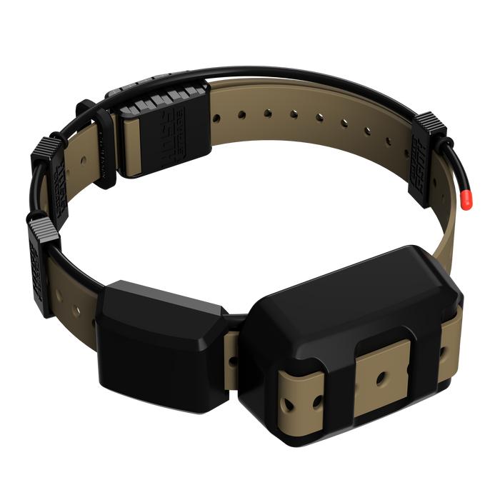 Tracking Collar 1" Replacement Strap Kit