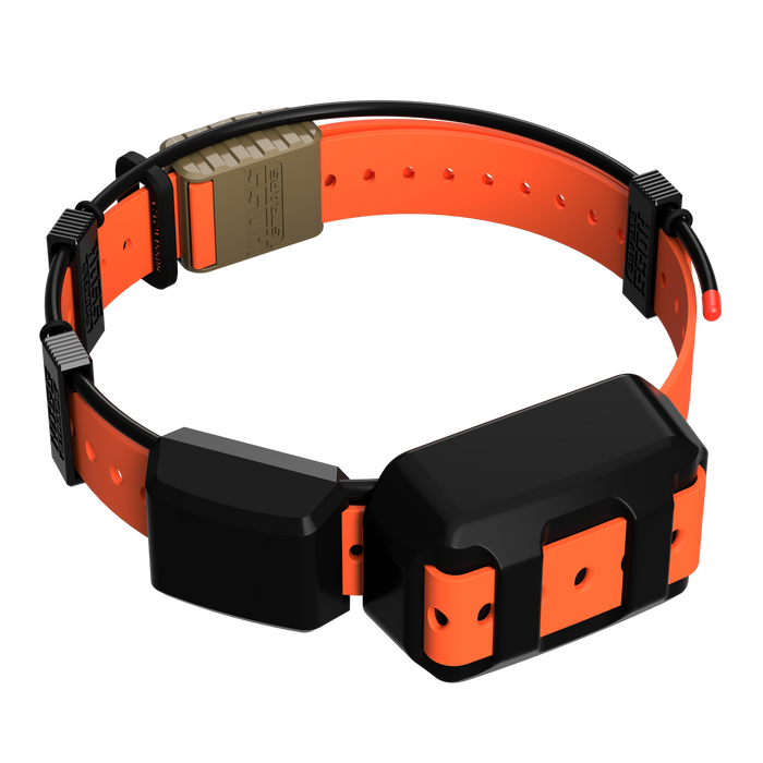 Tracking Collar 1" Replacement Strap Kit