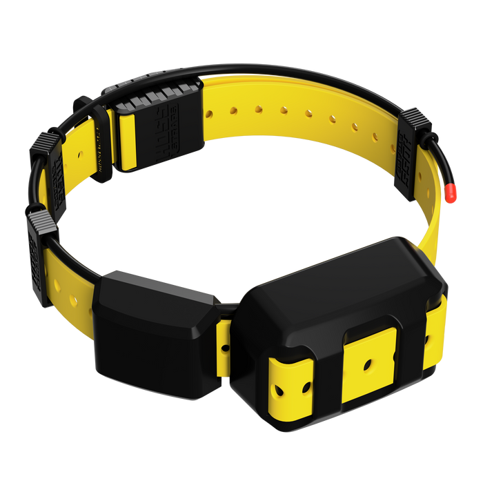 Tracking Collar 1" Replacement Strap Kit