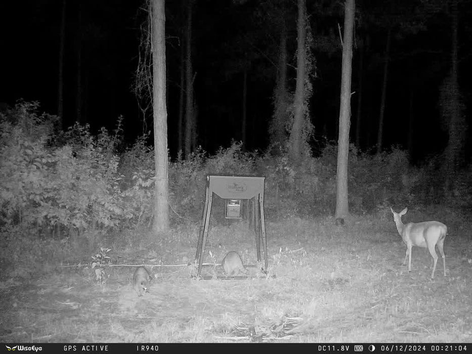 WiseEye Data Cam 2 No Glow Trail Camera