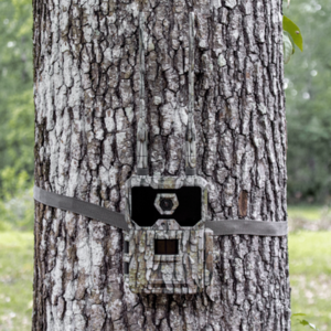 WiseEye data cam 2 No glow mounted on tree for outdoor scouting