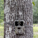 WiseEye data cam 2 No glow mounted on tree for outdoor scouting