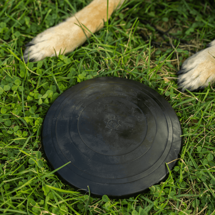 Monster K9 Aero Disc | Heavy Duty Dog Frisbee for Aggressive Chewers