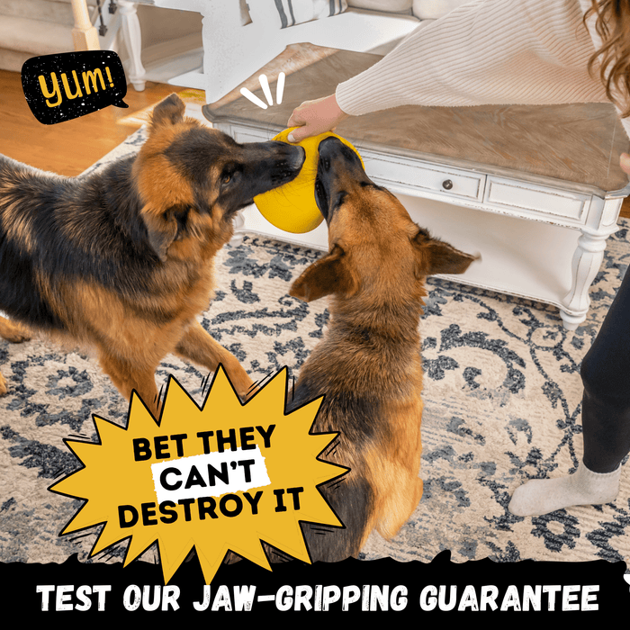 WOOFBITE Launch Disc™ | Heavy Duty Dog Disc for Aggressive Chewers