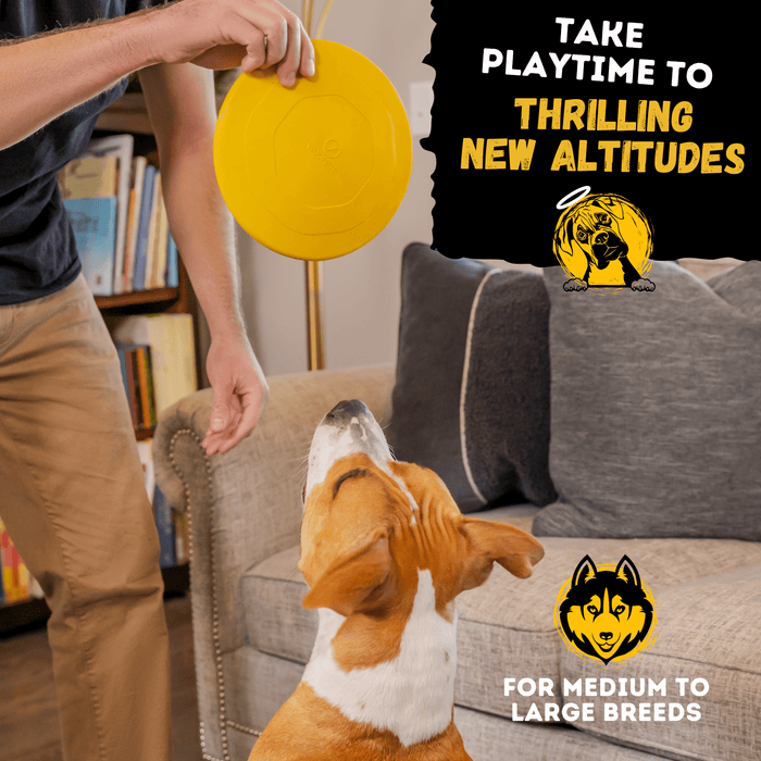 WOOFBITE Launch Disc™ | Heavy Duty Dog Disc for Aggressive Chewers