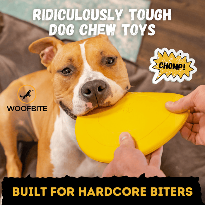 WOOFBITE Launch Disc™ | Heavy Duty Dog Disc for Aggressive Chewers