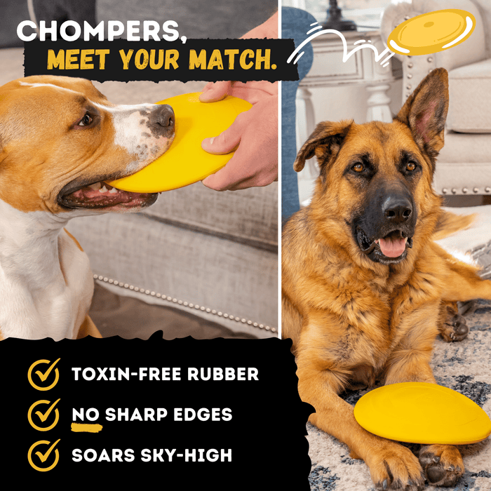 WOOFBITE Launch Disc™ | Heavy Duty Dog Disc for Aggressive Chewers