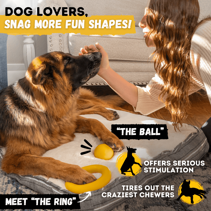 WOOFBITE Launch Disc™ | Heavy Duty Dog Disc for Aggressive Chewers