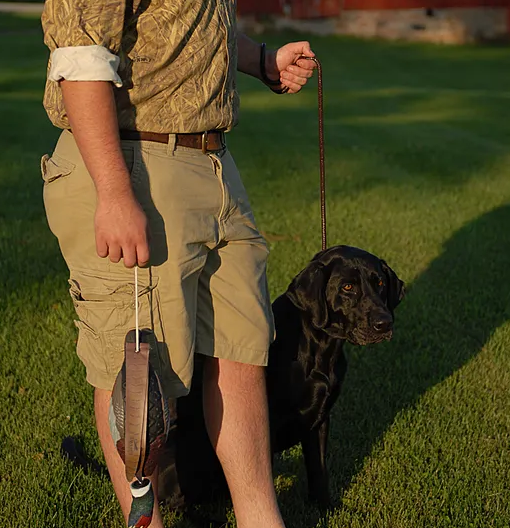 Avery Leather Line Lead