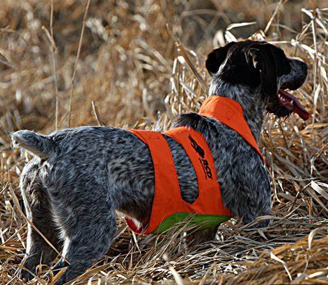 Avery Upland Dog Vest HuntEmUp - Main Image