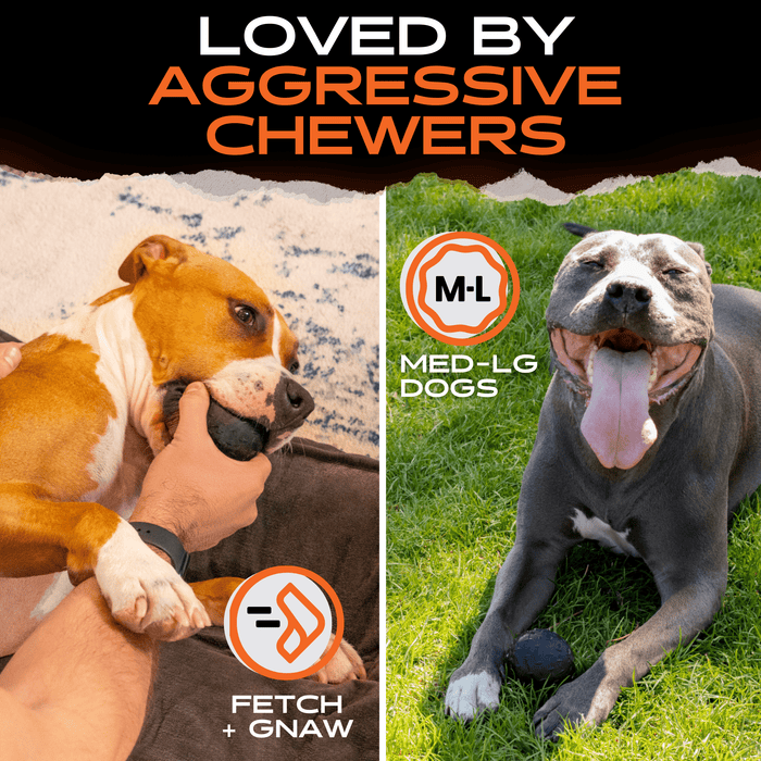 Monster K9 Beast Ball | Heavy Duty Dog Ball for Aggressive Chewers
