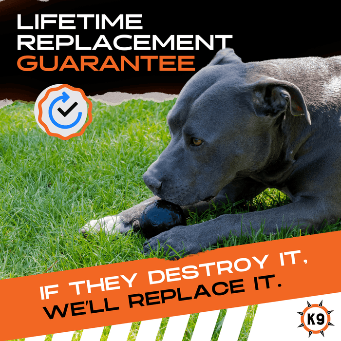Monster K9 Beast Ball | Heavy Duty Dog Ball for Aggressive Chewers