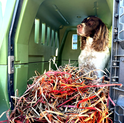Red Cedar Ribbon Bedding - Red Cedar Dog Bedding